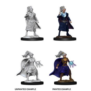 D&D Nolzur's Marvelous Miniatures - Female Human Sorcerer: Med 2 forskellige figurer i