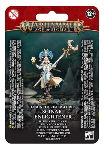 En battlemage som med sin store viden for mystisk magi er en stor værdi på slagmarken.