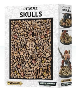Citadel Skulls